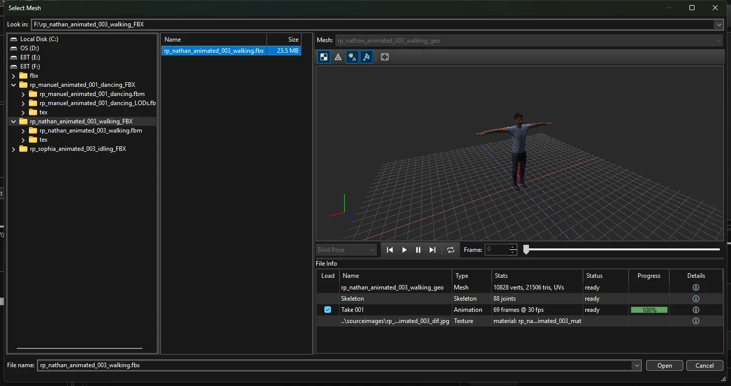 Select Mesh dialog with a character preview and the File Info table